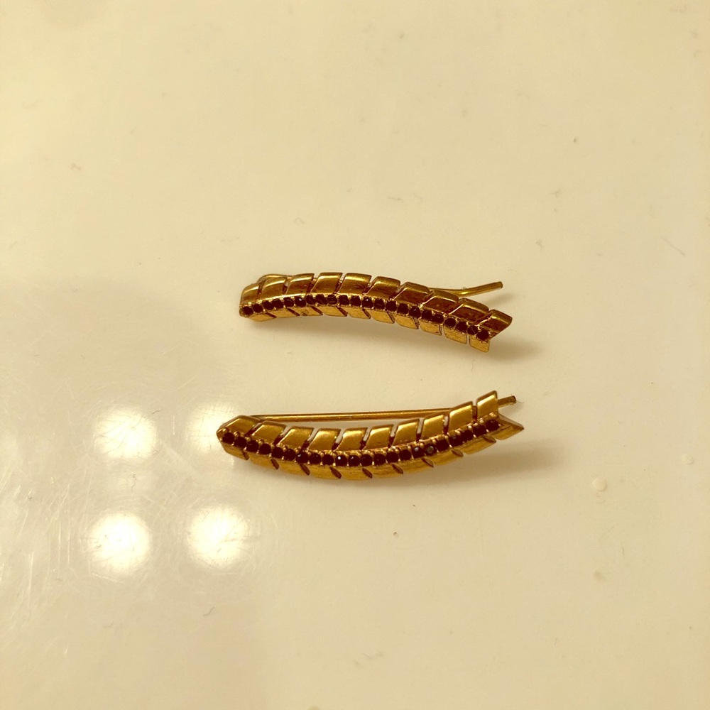 Ear Crawlers